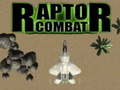 Raptor Combat