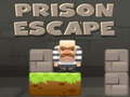 Prison Escape