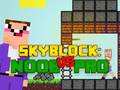 Noob vs Pro Skyblock