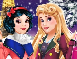プリンセスの冬のファッション 