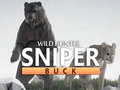 Wild Hunter sniper buck