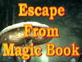 Escape From Magic Book