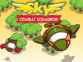 Sky Combat Squardom