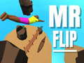 Mr Flip