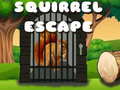 Squirrel Escape