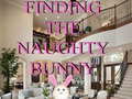 Finding The Naughty Bunny