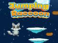 Jumping Raccoon