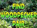 Find Woodpecker Pair 