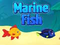Marine Fish
