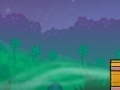 Night flies