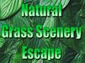 Natural Grass Scenery Escape