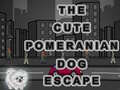 Cute Pomeranian Dog Escape