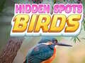 Hidden Spots Birds
