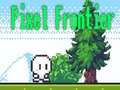 Pixel Frontier