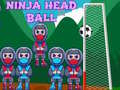 Ninja Head Ball