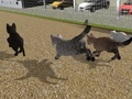 Run Cat Cat Race