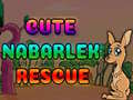 Cute Nabarlek Rescue