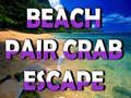 Beach Crab Pair Escape 