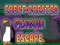 Erect Crested Penguin Escape