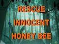 Rescue Innocent Honey Bee 