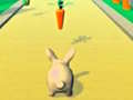 Rabbit Runner