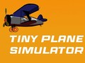 Tiny Plane Simulator
