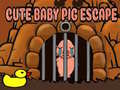Cute baby Pig escape