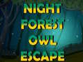 Night Forest Owl Escape