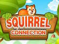 Squirrel Connection