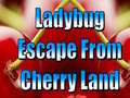 Ladybug Escape From Cherry Land