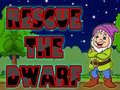 Rescue The Dwarf
