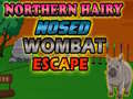 Northern hairy nosed wombat Escape