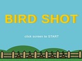 Bird Shot