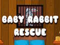 Baby Rabbit Rescue