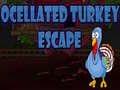 Ocellated Turkey Escape