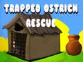 Trapped Ostrich Rescue