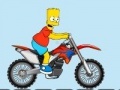 Bart Bike Adventure