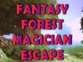 Fantasy Forest Magician Escape