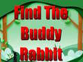 Find The Buddy Rabbit