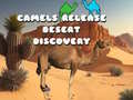 Camels Release Desert Discovery