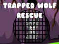Trapped Wolf Rescue