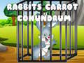 Rabbits Carrot Conundrum
