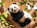 Jigsaw Puzzle: Panda On Tree