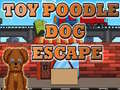 Toy Poodle Dog Escape
