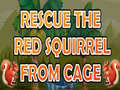 Rescue The Red Squirrel From Cage