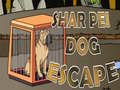 Shar Pei Dog Escape