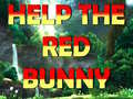 Help The Red Bunny