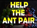 Help The Ant Pair