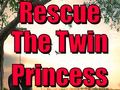 Rescue The Twin Princess