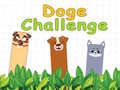 Doge Challenge